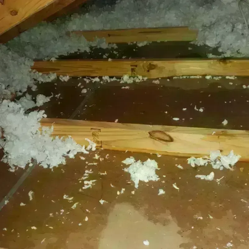 Attic Water Damage in Harrison County, MS