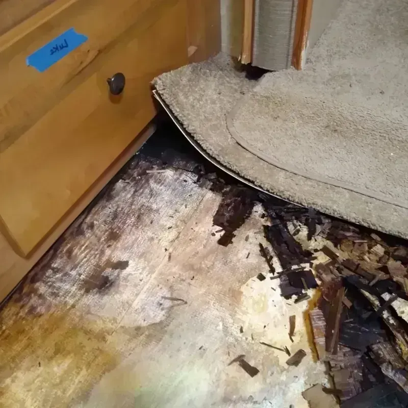 Wood Floor Water Damage in Harrison County, MS